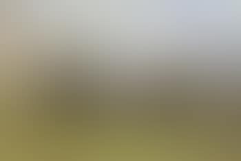 Mountain landscape (preview)