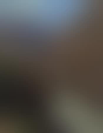 View of gorge (preview)