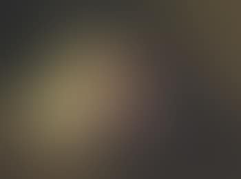 Bouquet de roses et de mauves sur une tablette: a mixed bouquet on a ledge (preview)