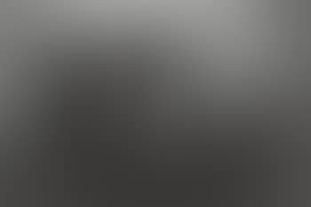 Pablo, NYC, 1958 (preview)