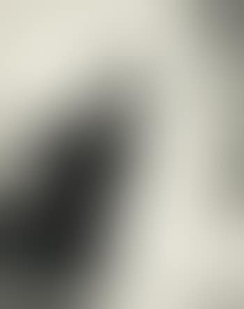Self-Portrait (preview)