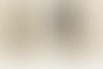 Standing Nude with a Towel: two states (B. 9) (preview)