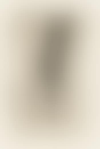 Standing Nude (B. 8) (preview)