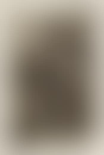 At the Dressing Table (B. 10) (preview)