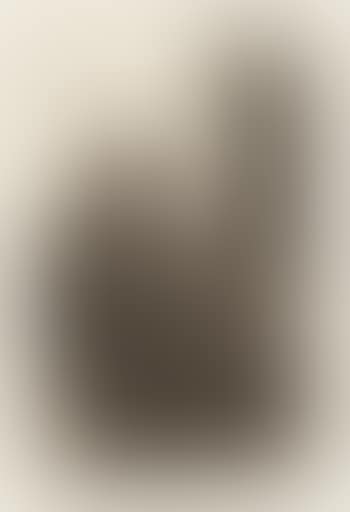 Lydia Reading, Turned toward Right (B. 63) (preview)
