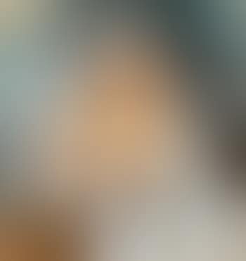 Modella velata (preview)
