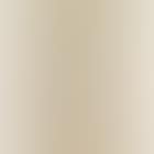 Nude Undressing (preview)