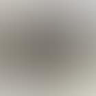 Pollarded willows (preview)