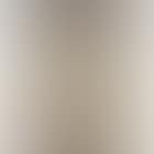 Standing Nude (preview)