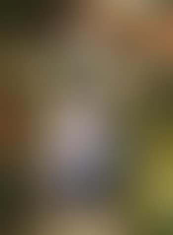 Portrait of a Dutch Woman in a Garden (preview)
