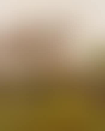In the orchard (preview)