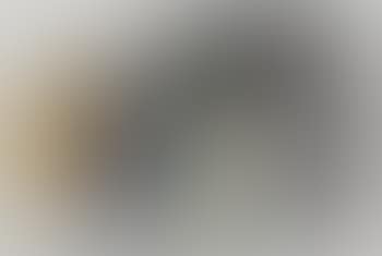 Untitled (preview)