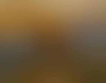 A donkey wondering in a desert landscape (preview)