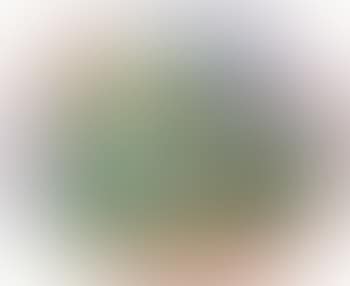 Nature morte (preview)