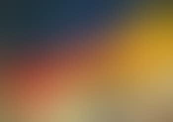 Composition (preview)
