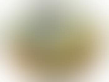 Nature morte (preview)