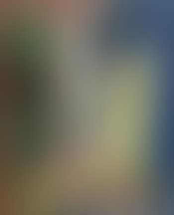 Nature morte (preview)