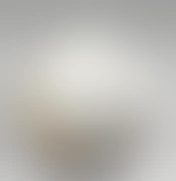 Vase (preview)