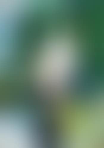Figure Abstraite (preview)