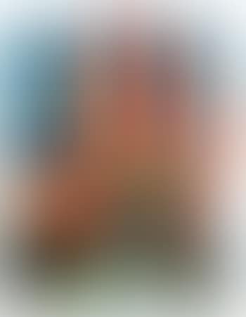 No photo, d'apr photos AFP (preview)