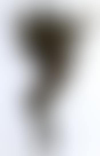 Sonnenkreuz (preview)