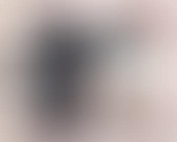 Untitled 1 (Littmann S.42, u. ill.) (preview)