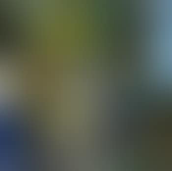 Untitled (still life with a vase of flowers) (preview)