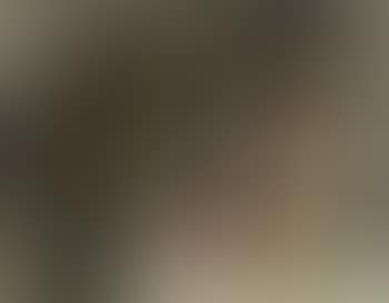 Ohne Titel (preview)