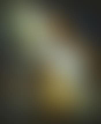 White, grey and yellow: reclining nude (preview)