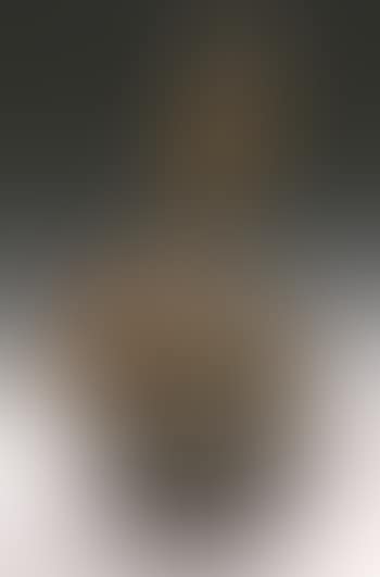Nude ascending a staircase, homage to Marcel Duchamp (preview)
