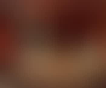 Nature morte aux fleurs et fruits sur une table (preview)