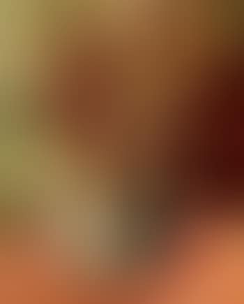 Vase de fleurs (preview)