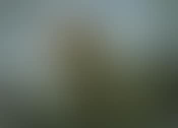 Landschaft mit Gewitterwolken (preview)