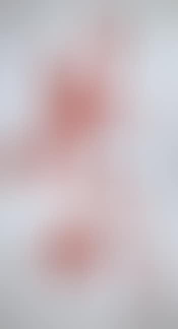 Rouge Sur Gris (preview)