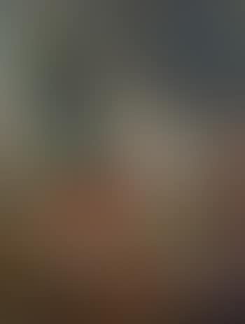 Nature morte au gibier (preview)