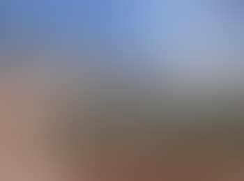 Paysage mediterraneen (preview)
