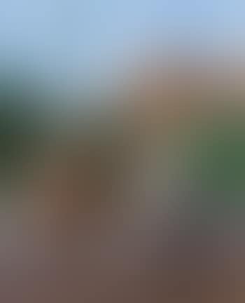 Dans le jardin des Oudaia, Rabat (preview)
