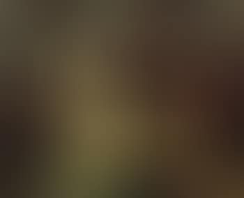 River View with Distant Cattle (preview)