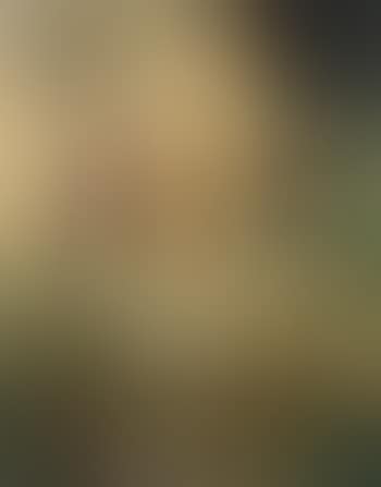 Woman in the Garden (preview)
