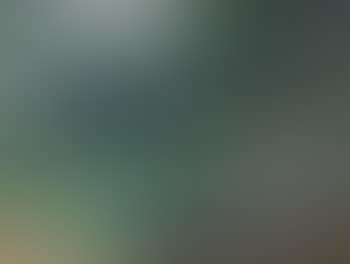 A child in a garden (preview)