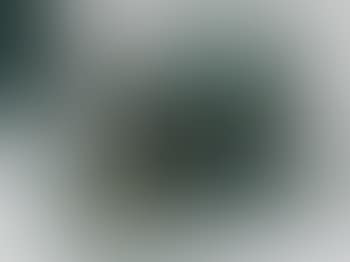Rhinoceros habille en dentelle (preview)