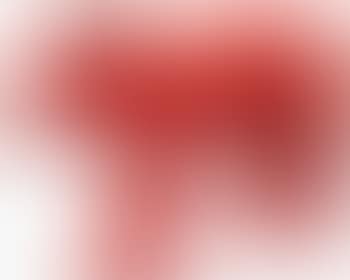 Red Cloned Pig (preview)