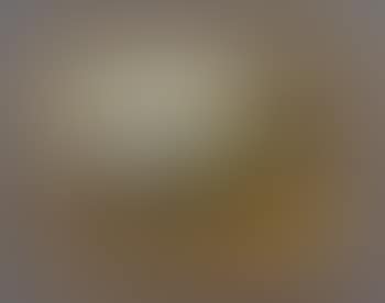 View of New York Bay from Brooklyn Heights (preview)