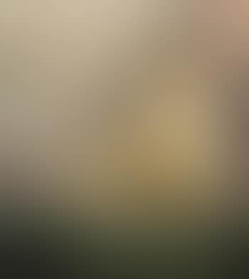 Portrait of the Volunteer (preview)