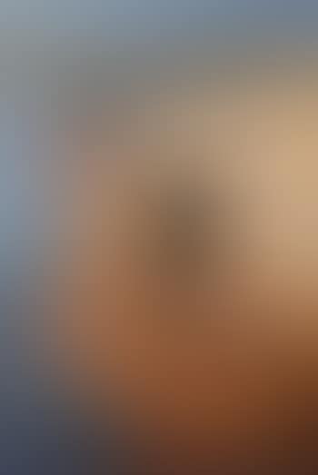 Figures on the beach (preview)
