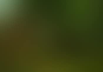Sommerlandschaft mit einem Haus am See (preview)