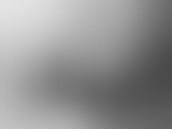 Winterlandschaft mit Pferdeschlitten (preview)