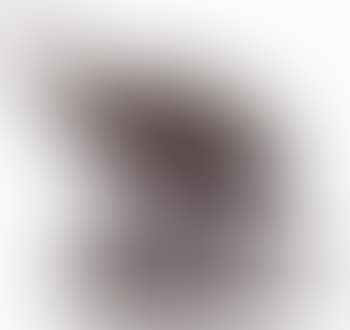 Pintade Marchant (preview)