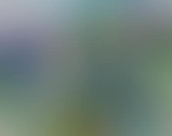 Berglandschaft (preview)