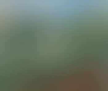 Landschaft bei Sorrent (preview)